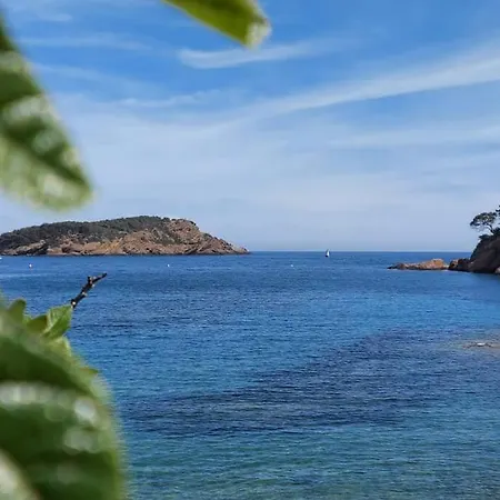 Sea View Classe 3etoiles Climatise Belle Terrasse Magnifique Vue Parking *